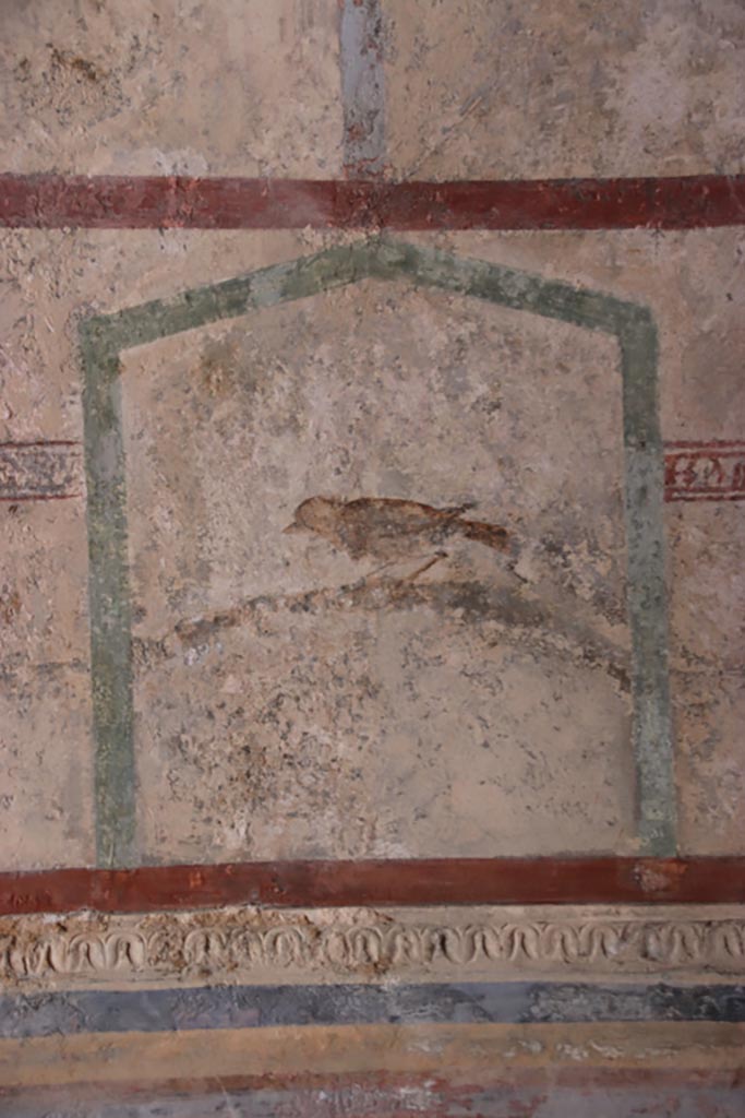 HGW24 Pompeii. Villa of Diomedes. October 2023. 
Detail of painted bird on south side of vaulted ceiling. Photo courtesy of Klaus Heese.
(Villa Diomedes Project – area 61).
(Fontaine, room 5,13).