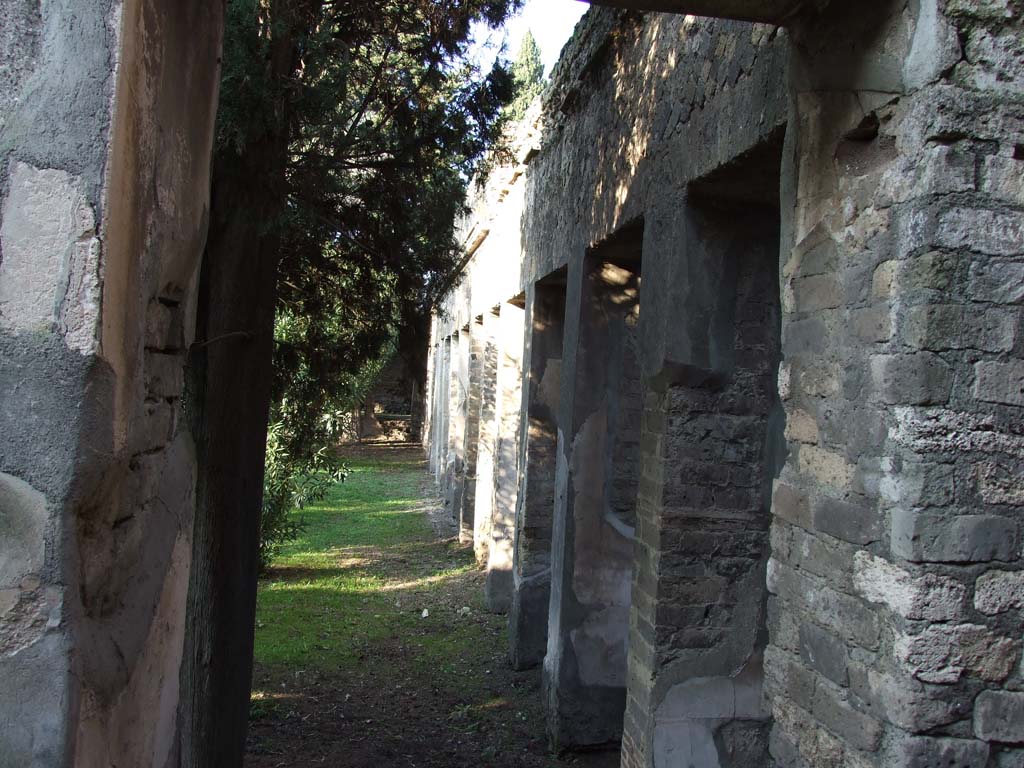 HGW24 Pompeii. December 2006. Looking north along garden side of east portico, from south-east corner. 
No.89, 77 and 54 on the plan by La Vega, were found along this side of the east portico.