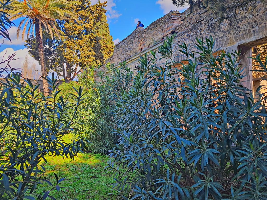 Villa of Diomedes, Pompeii. March 2024. 
Looking north along west (garden) side of east portico, towards upper floor. Photo courtesy of Giuseppe Ciaramella.