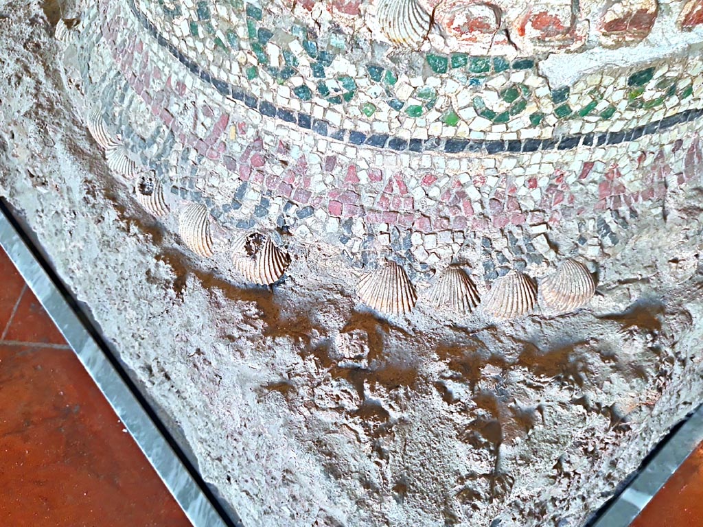 HGE12 Villa of the Mosaic Columns. September 2024.
Detail from base of column in Naples Archaeological Museum. Photo courtesy of Giuseppe Ciaramella.