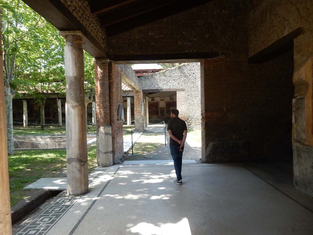 Villa San Marco, Stabiae, June 2019. Portico 5, looking west at northern end. Photo courtesy of Buzz Ferebee