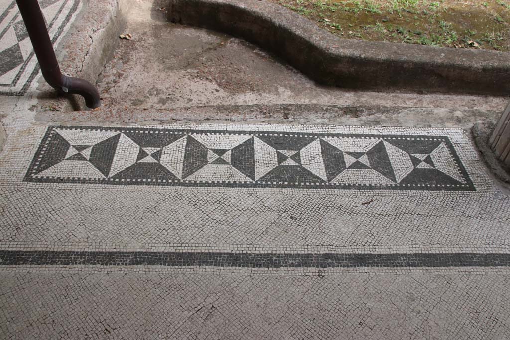 Villa San Marco, Stabiae, September 2021. 
Portico 5, peristyle threshold between columns in north-east corner, first of three. Photo courtesy of Klaus Heese.