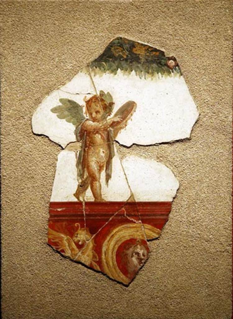 Villa San Marco, Stabiae. Corridor/ramp 4, fragment of painting with cupid playing a tambourine.
Found in a collapsed position.
Stabia Antiquarium, inventory number 62522.
See Guzzo P., Bonifacio G. and Sodo A.M. (a cura di), 2007. Otium Ludens: Stabiae - at the heart of the Roman empire. Hermitage Museum. Stabia: Nicola Longobardi, p. 116.