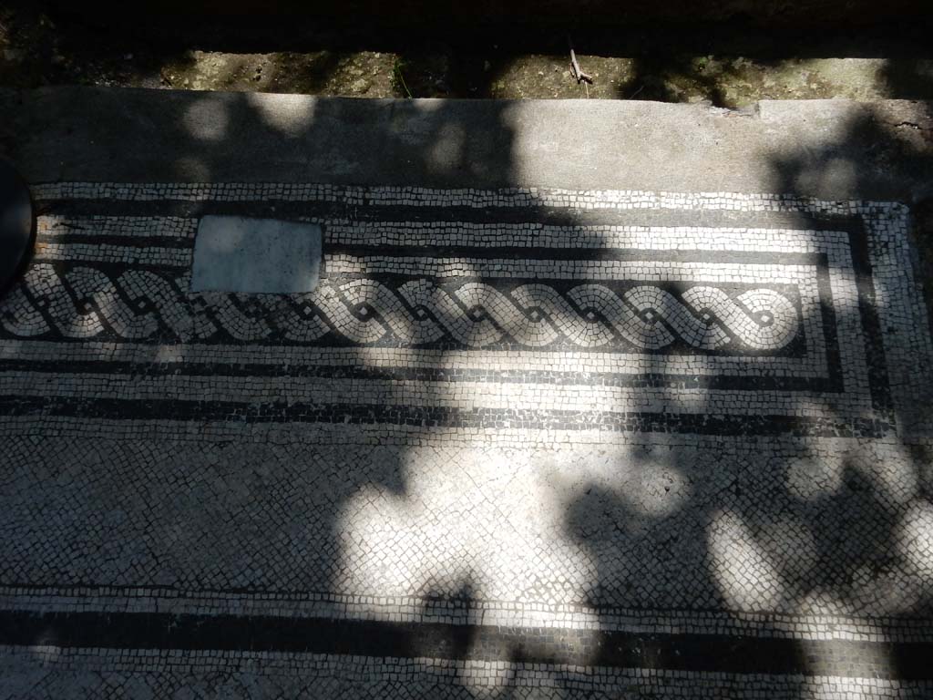 Villa San Marco, Stabiae, June 2019. North portico 5, west side, mosaic threshold between columns. 
Photo courtesy of Buzz Ferebee