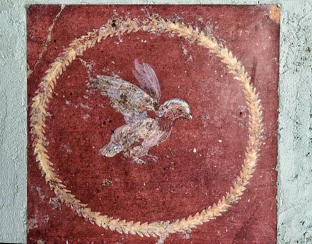 Villa San Marco, Stabiae, April 2018. 
Room 8, south-west side of west wall. detail of painted medallion below figure to left of doorway into room 13.
Photo courtesy of Ian Lycett-King. Use is subject to Creative Commons Attribution-NonCommercial License v.4 International.
Now in Naples Archaeological Museum, inventory number 8699.