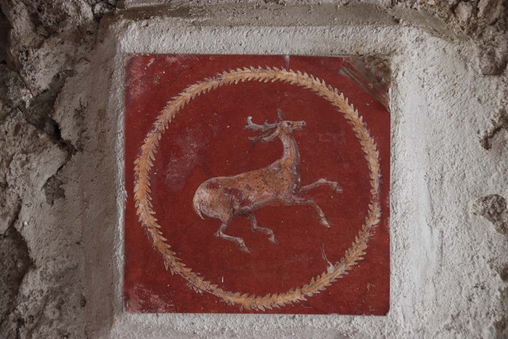 Villa San Marco, Stabiae, September 2019. Room 8, north wall, detail of deer, to right of doorway into room 13. Photo courtesy of Klaus Heese.
Now in Naples Archaeological Museum, inventory number 8809.