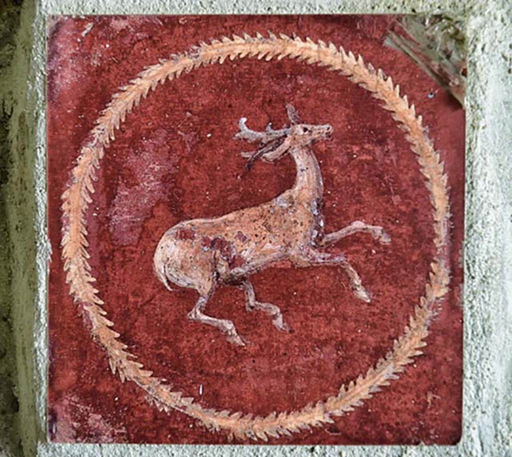Villa San Marco, Stabiae, April 2018. Room 8, detail of painted medallion in wall to right of doorway into room 13. Photo courtesy of Ian Lycett-King. Use is subject to Creative Commons Attribution-NonCommercial License v.4 International.