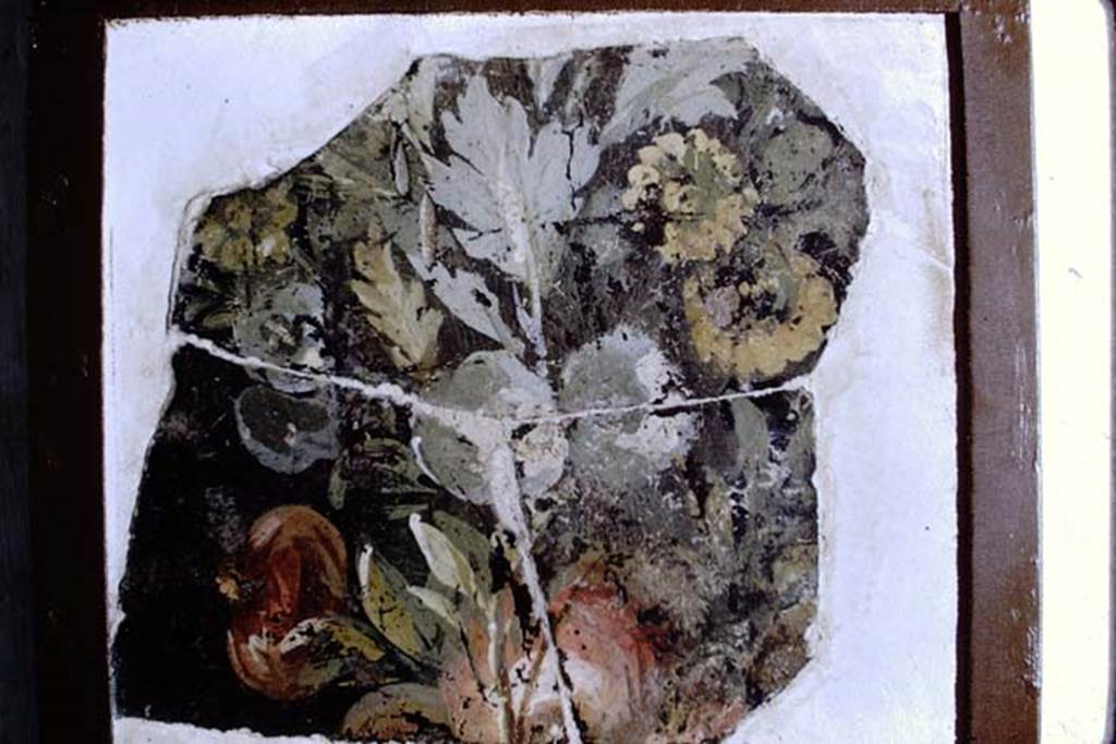 Villa San Marco, Stabiae, 1968. Room 13. Fragment showing garden detail. Photo by Stanley A. Jashemski. 
Source: The Wilhelmina and Stanley A. Jashemski archive in the University of Maryland Library, Special Collections (See collection page) and made available under the Creative Commons Attribution-Non Commercial License v.4. See Licence and use details.
J68f1869
According to Sodo, this fragment was from room 13.
Stabia Antiquarium. Inventory number 63868.
See Guzzo P., Bonifacio G. and Sodo A.M. (a cura di), 2007. Otium Ludens: Stabiae - at the heart of the Roman empire. Hermitage Museum. Stabia: Nicola Longobardi, p. 115.