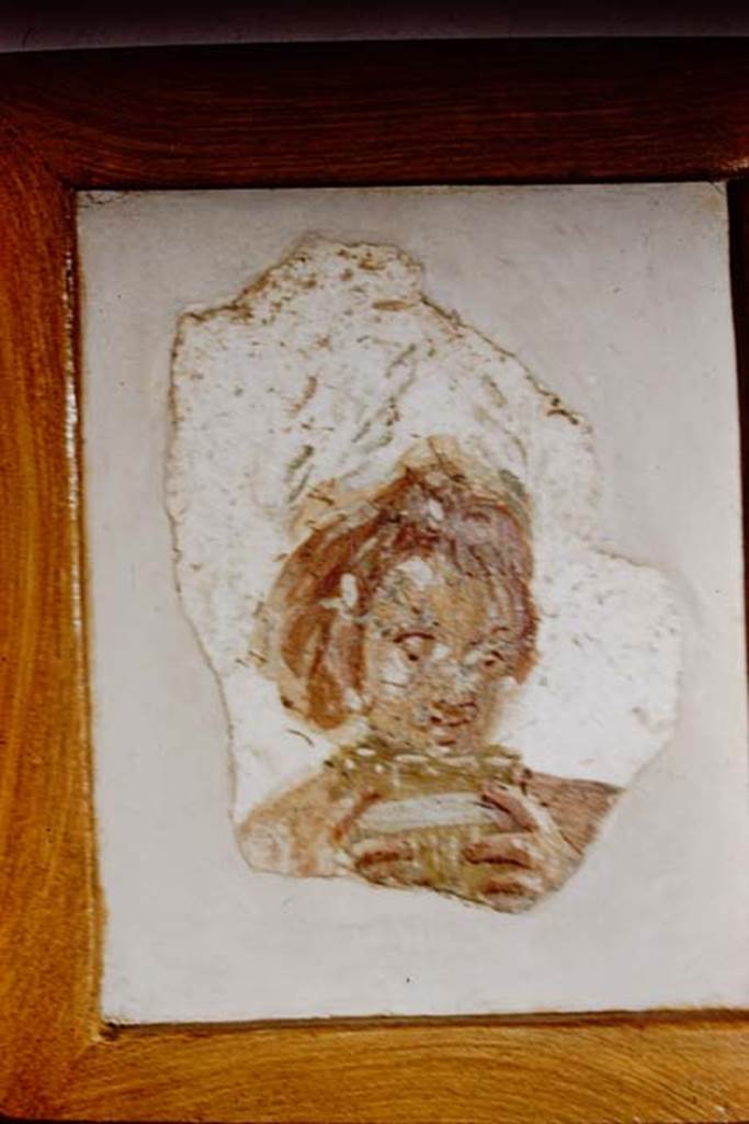 Villa San Marco, Stabiae, 1961. Room 14, fragment with painting of Satyr playing the pipes, perhaps from the ceiling of room 14.
Photo by Stanley A. Jashemski.
Source: The Wilhelmina and Stanley A. Jashemski archive in the University of Maryland Library, Special Collections (See collection page) and made available under the Creative Commons Attribution-Non Commercial License v.4. See Licence and use details.
Jmit0107
Stabia Antiquarium, inventory number 62449/1.
See Barbet A. (a cura di), 1999. La Villa San Marco di Stabia: Illustrazioni 1. Roma, L’Erma di Bretschneider, (fig. 658b).