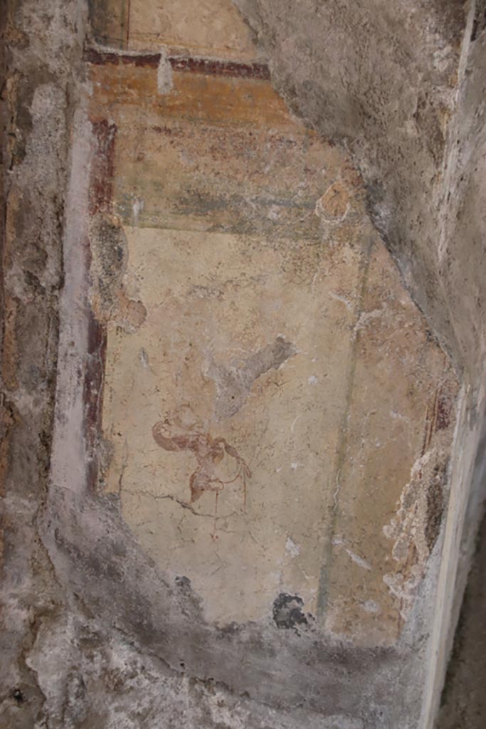 Villa San Marco, Stabiae, October 2022. 
Room 12, wall on east (right) side of doorway into room 14.
Photo courtesy of Klaus Heese.