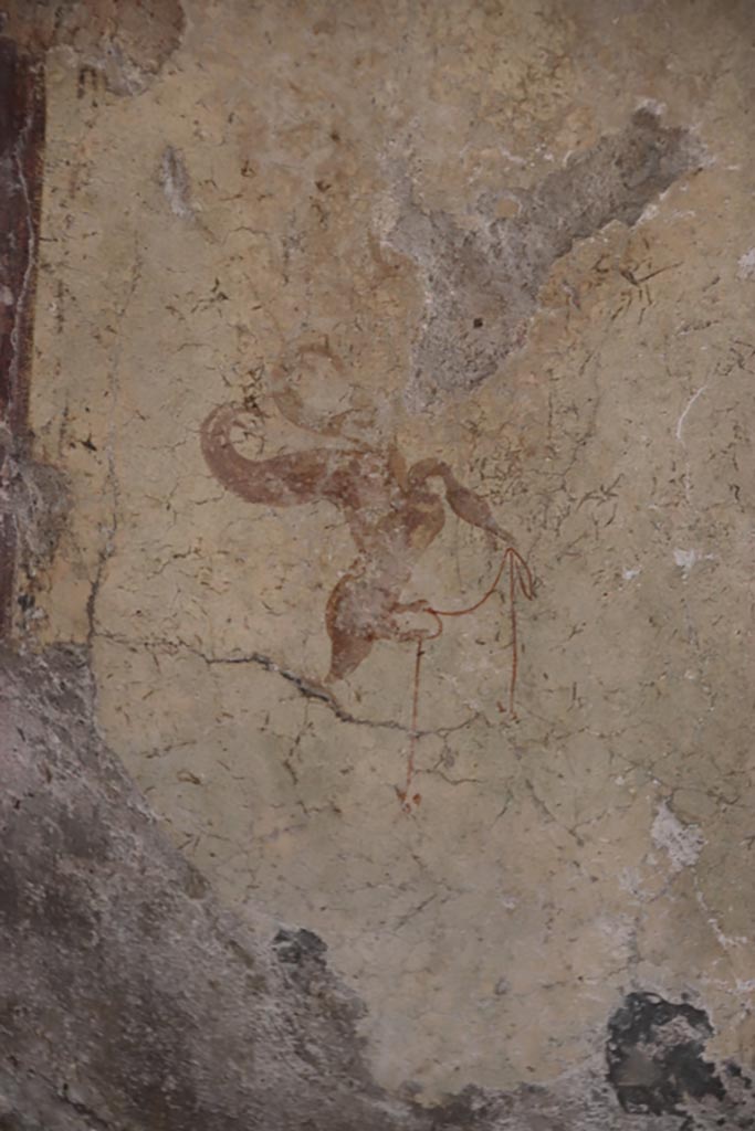 Villa San Marco, Stabiae, October 2022. 
Room 12, detail of painted swan from wall on east (right) side of doorway into room 14.
Photo courtesy of Klaus Heese.