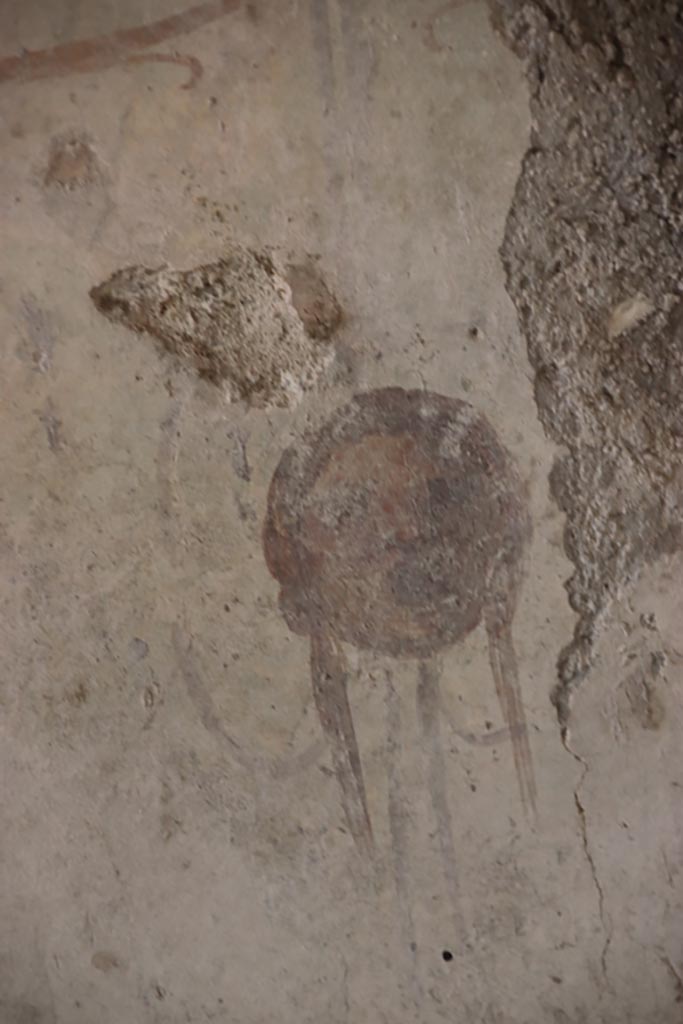 Villa San Marco, Stabiae, October 2022. 
Room 12, detail of painted face/mask. Photo courtesy of Klaus Heese.