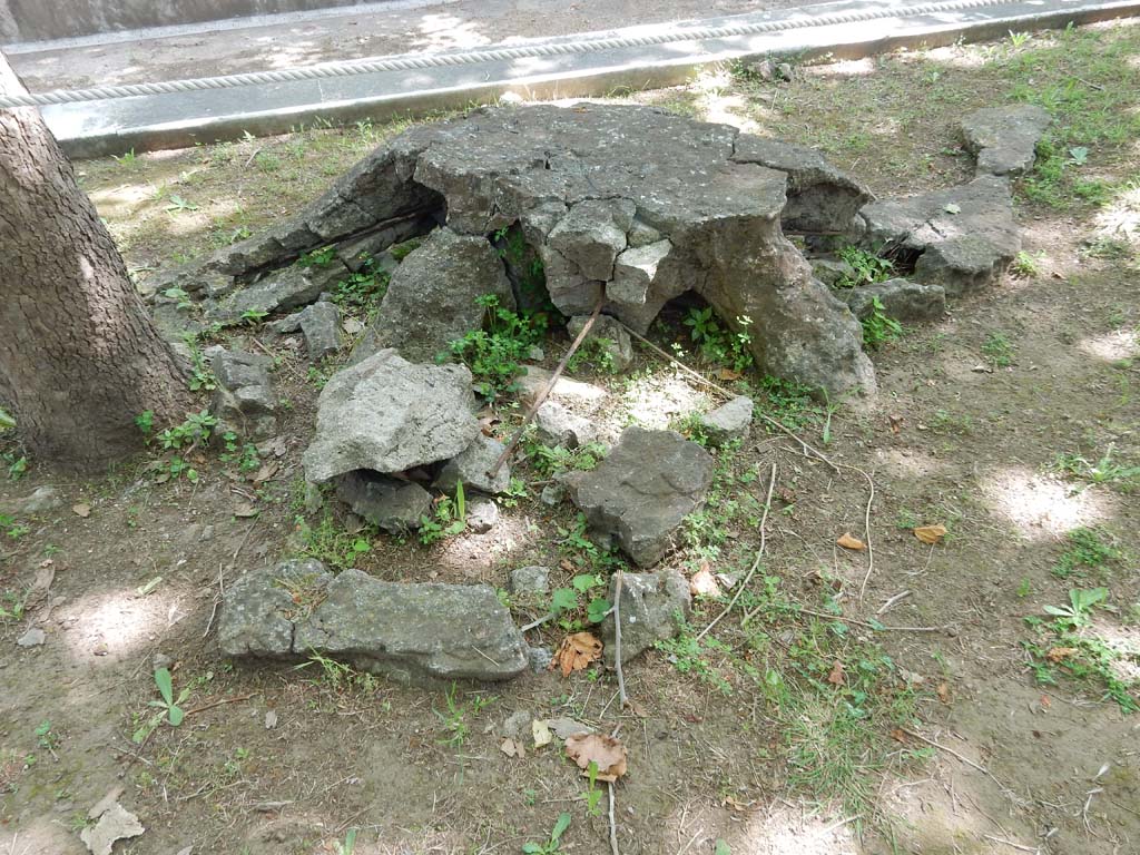 Villa San Marco, Stabiae, June 2019. Garden area 9, cast of tree-root on west side of pool. 
Photo courtesy of Buzz Ferebee
The casts of the roots of plane-trees have been left in situ and can be seen near the base of the newly-planted trees.
There would have been two rows of eight trees.