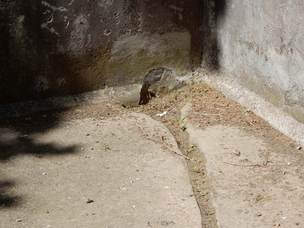 Villa San Marco, Stabiae, June 2019. Pool 15, detail from north end. Photo courtesy of Buzz Ferebee