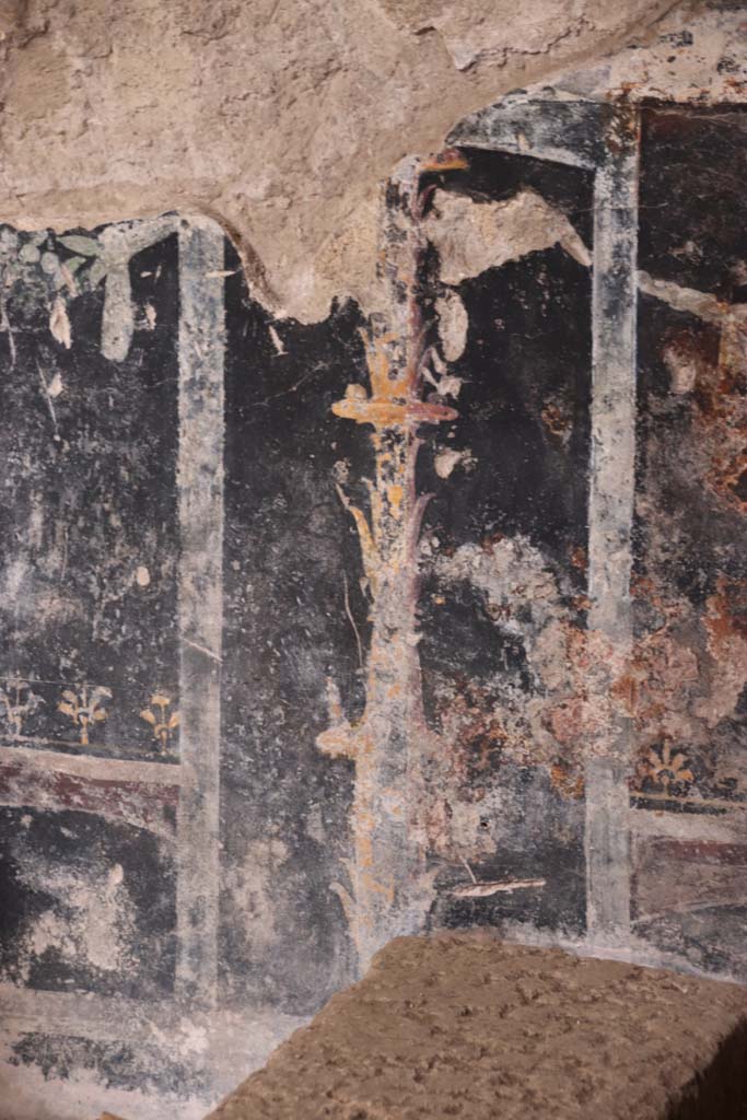 Villa San Marco, Stabiae, October 2020. 
Room 44, detail of painted decoration on zoccolo on west wall next to lararium steps, in north-west corner of atrium. 
Photo courtesy of Klaus Heese.