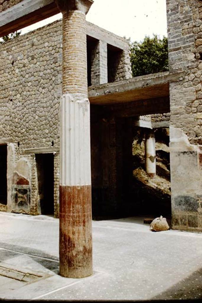 Villa San Marco, Stabiae, 1961. Room 44, south side of atrium, looking towards entrance doorway, not yet fully excavated.  Photo by Stanley A. Jashemski.
Source: The Wilhelmina and Stanley A. Jashemski archive in the University of Maryland Library, Special Collections (See collection page) and made available under the Creative Commons Attribution-Non Commercial License v.4. See Licence and use details. Jmit0092
