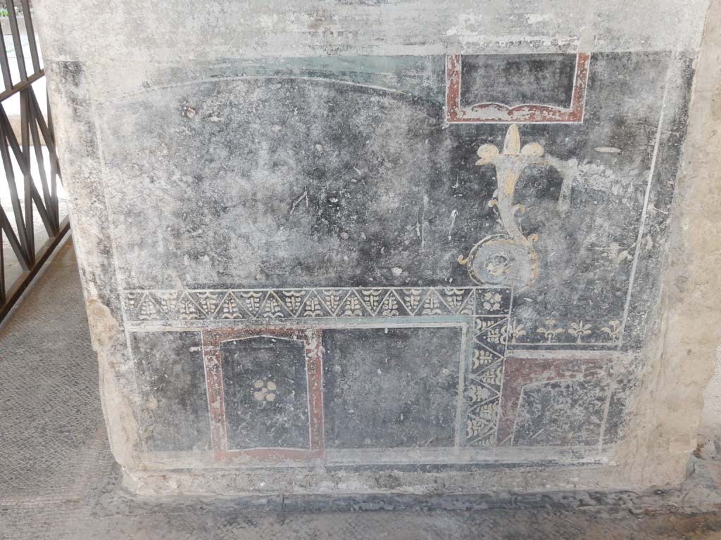 Villa San Marco, Stabiae, June 2019. 
Room 44, zoccolo on south wall of atrium, with entrance doorway, on left, and doorway to room 57, on right.
Photo courtesy of Buzz Ferebee.