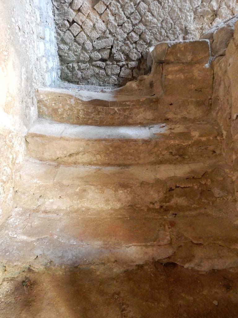 Villa San Marco, Stabiae, June 2019. Steps 55, in south-east corner of atrium.
Photo courtesy of Buzz Ferebee.