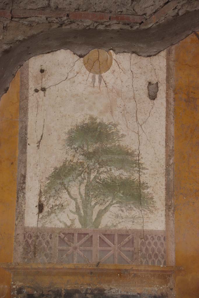 Villa San Marco, Stabiae, September 2019. 
Portico 20, east wall of portico, detail of panel at north-east end. Photo courtesy of Klaus Heese.