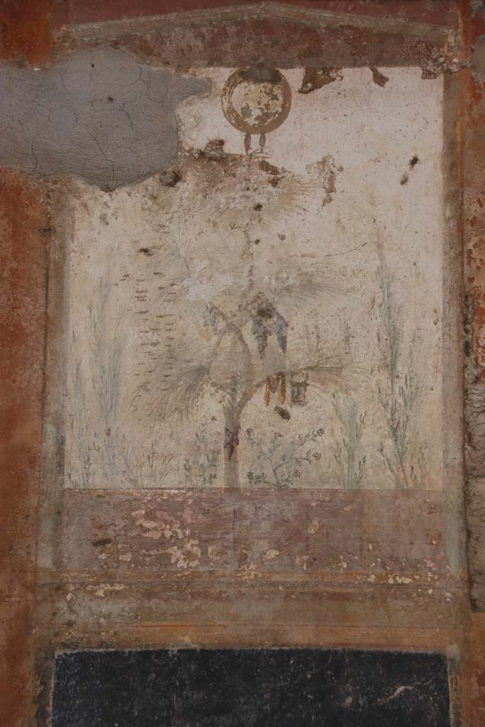 Villa San Marco, Stabiae, September 2019. 
Room 20, east wall, detail of fresco on painted panel, on the left of the 18th century hole. Photo courtesy of Klaus Heese.