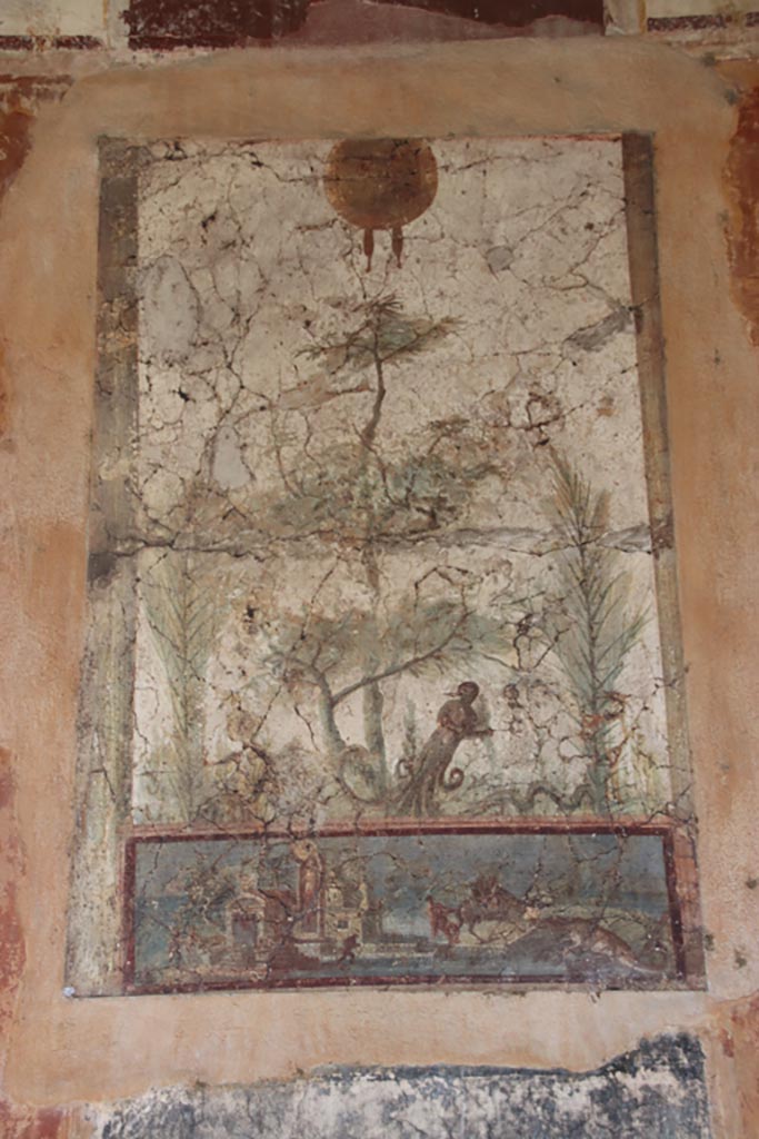 Villa San Marco, October 2022. 
Room 20, east wall, detail of fresco on painted panel. Photo courtesy of Klaus Heese.