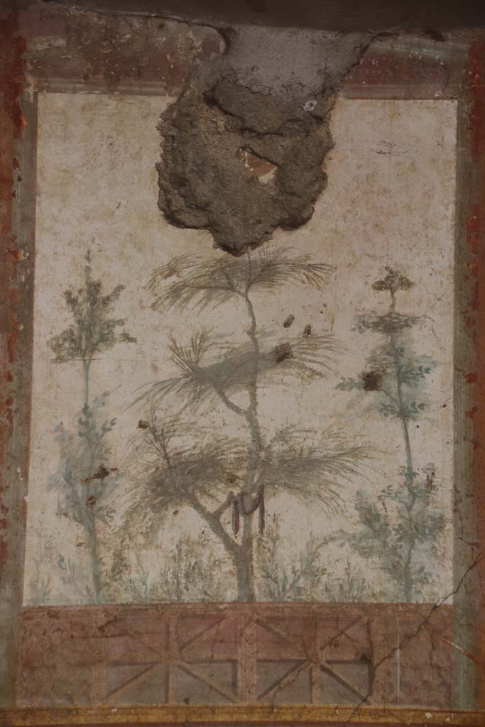 Villa San Marco, Stabiae, September 2019. 
Room 20, east wall at south end, detail of fresco on painted panel. Photo courtesy of Klaus Heese.