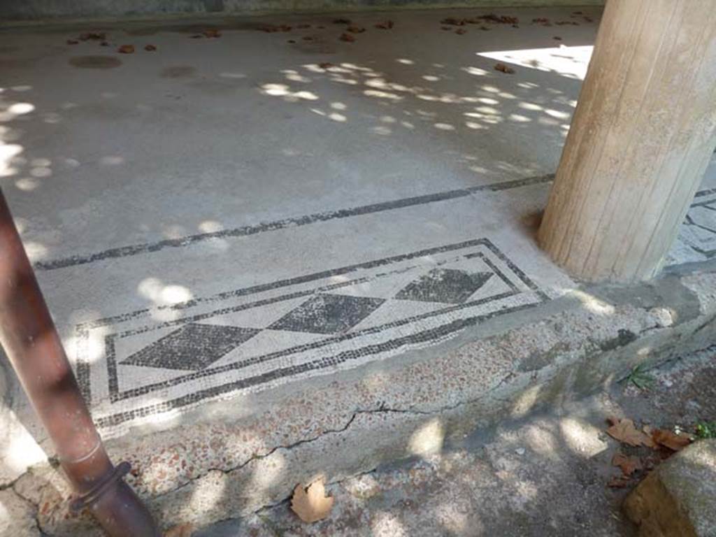 Villa San Marco, Stabiae, September 2015. Mosaic threshold between columns of east portico 20, number 1 of 11.