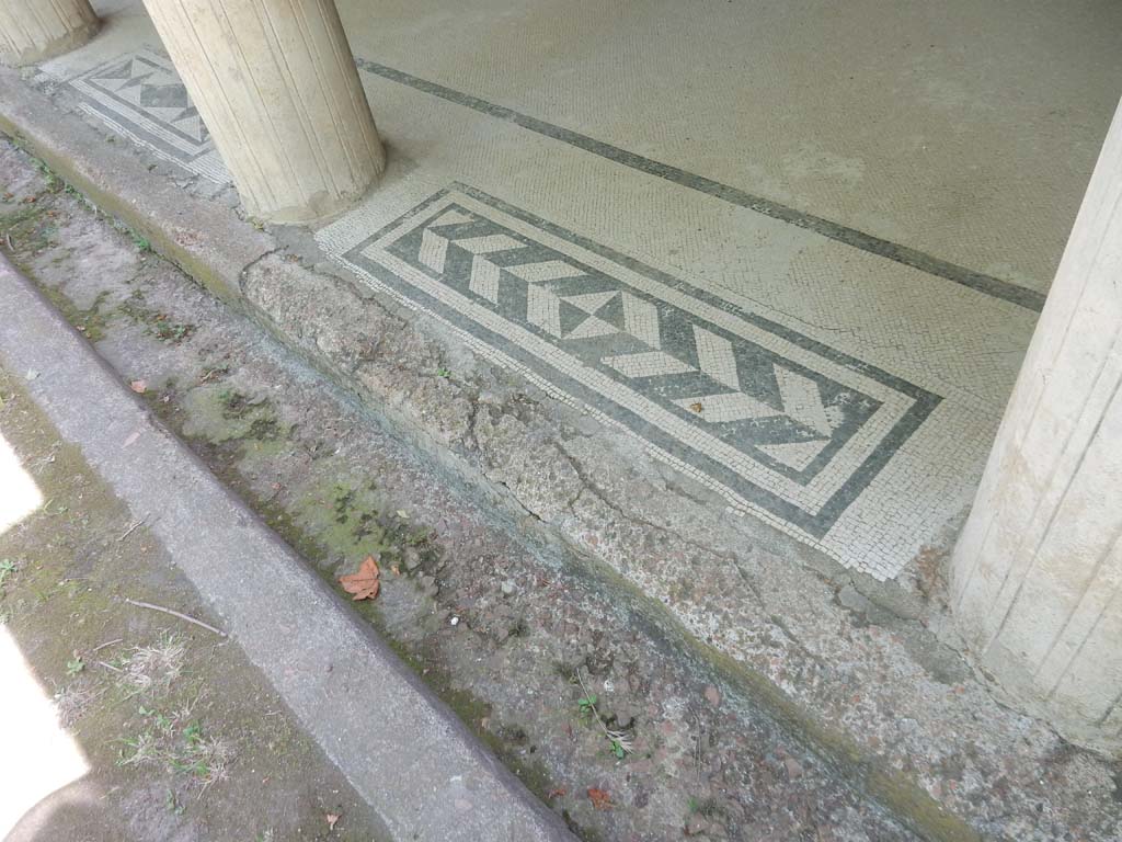 Villa San Marco, Stabiae, June 2019. East portico 20, mosaic thresholds between columns, numbers 9 and 10.  
Photo courtesy of Buzz Ferebee.