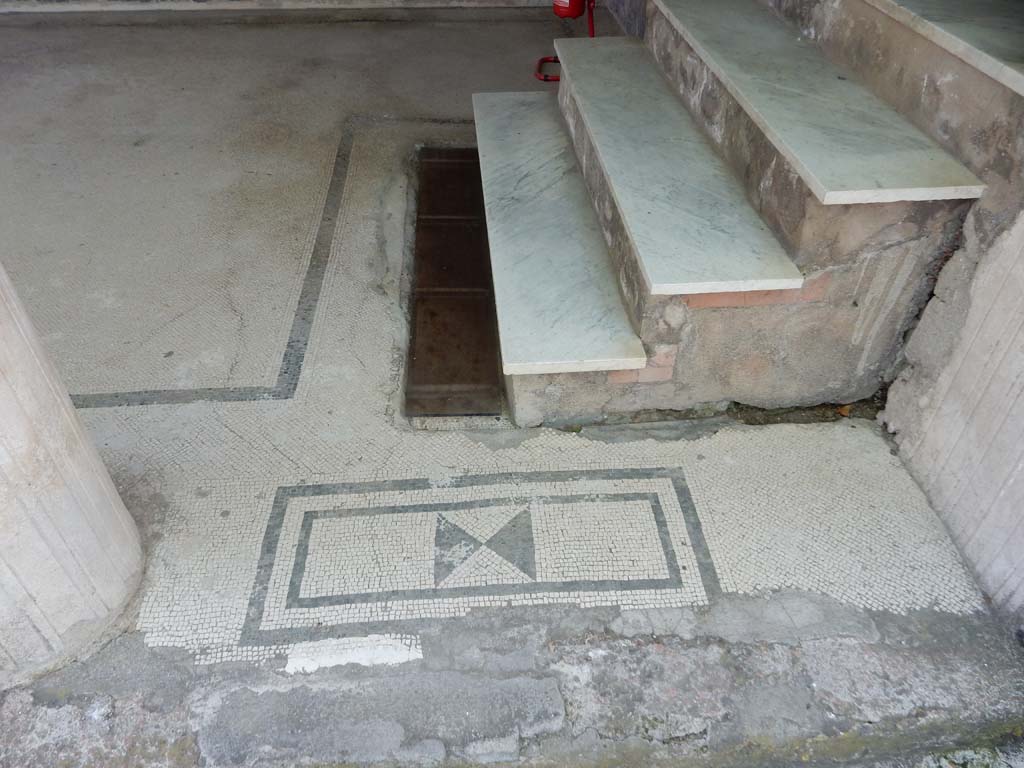 Villa San Marco, Stabiae, June 2019. Portico 20, south end, mosaic threshold between columns, and steps to room 30.  
Photo courtesy of Buzz Ferebee