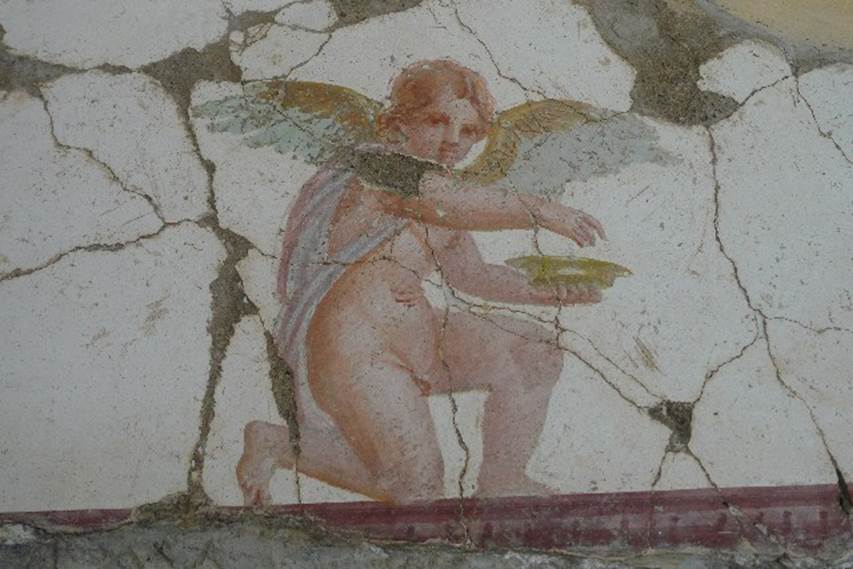 Castellammare di Stabia, Villa San Marco, July 2010.  Room 30, east wall in north-east corner, above doorway to room 50.  Painting of kneeling Eros holding a dish. Photo courtesy of Michael Binns.