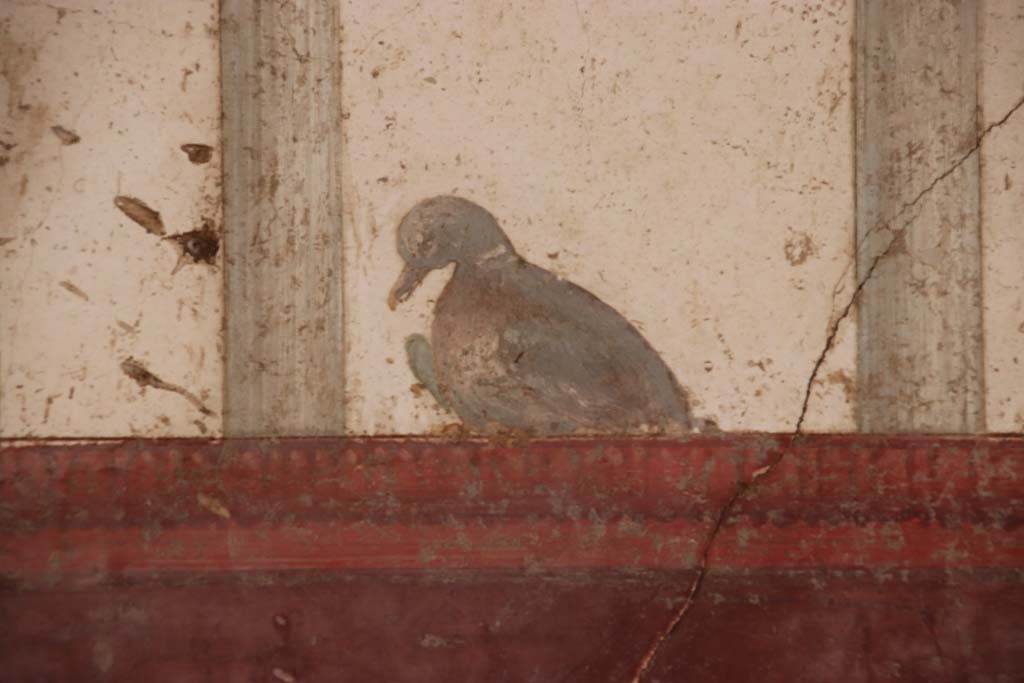 Villa San Marco, Stabiae, September 2019. 
Room 50, detail from north end of east wall. Photo courtesy of Klaus Heese.