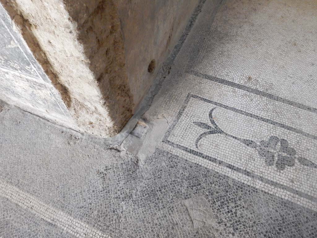Villa San Marco, Stabiae, June 2019. Corridor 49 on south side of atrium, looking towards east end of mosaic threshold.  
Photo courtesy of Buzz Ferebee