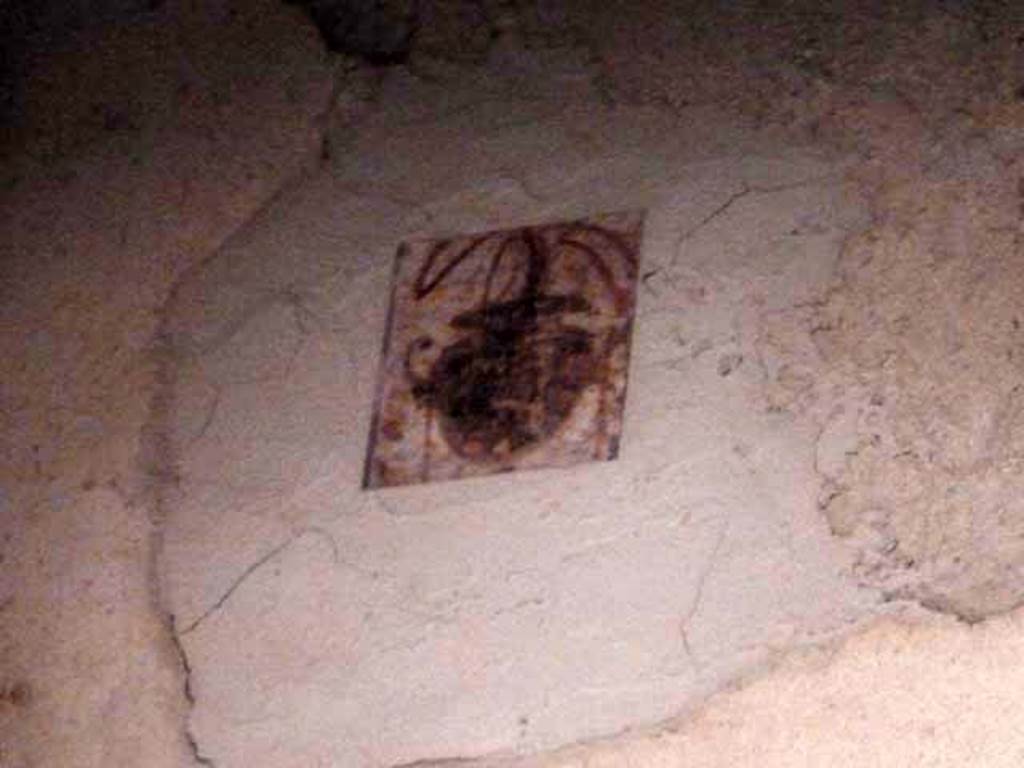 Villa San Marco, Stabiae, September 2015. Room 52, painting from upper south end of west wall.
Original now in Naples Archaeological Museum. Part of inventory number 8522.