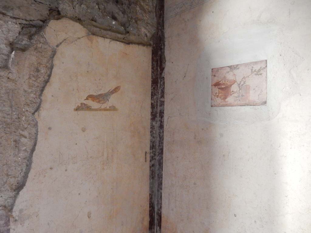Villa San Marco, Stabiae, June 2019. Room 52, south-east corner, with painting of bird on east wall. 
Photo courtesy of Buzz Ferebee
