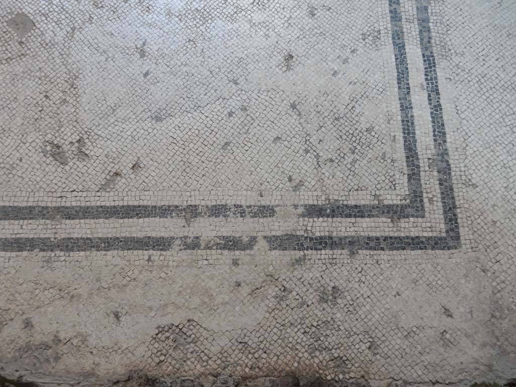 Villa San Marco, Stabiae, June 2019. Corridor 32, flooring. Photo courtesy of Buzz Ferebee