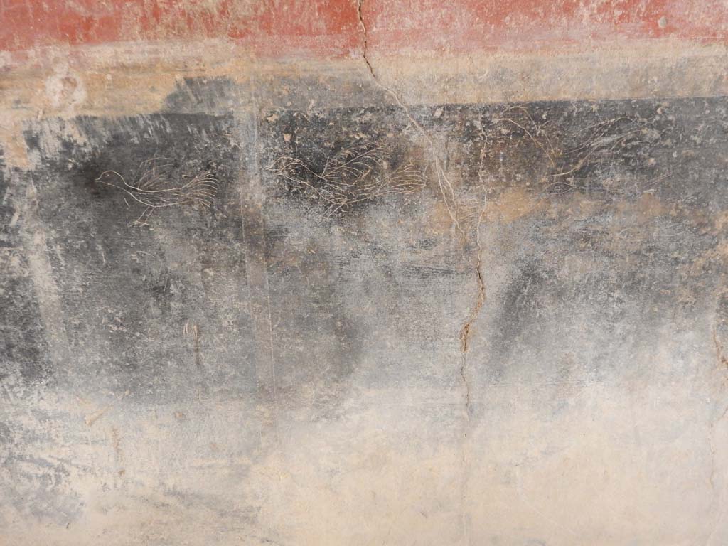 Villa San Marco, Stabiae, June 2019. Corridor 32, graffito of 3 birds on zoccolo at south end of the west wall.
Photo courtesy of Buzz Ferebee