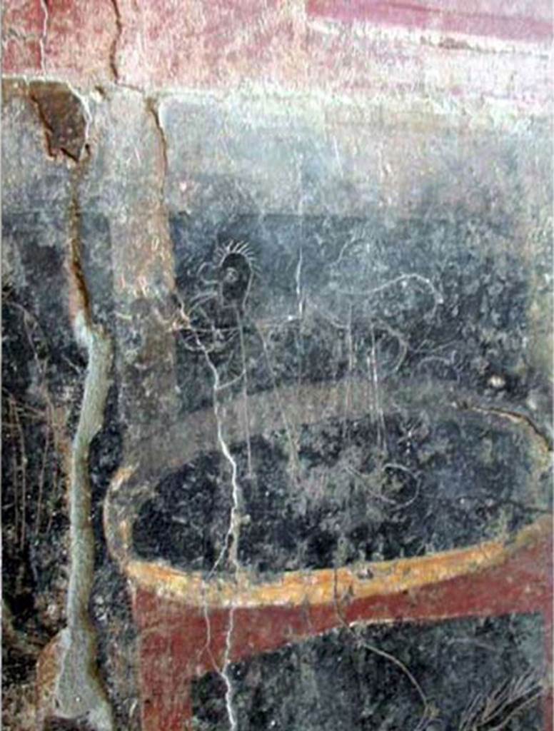 Villa San Marco, Stabiae, December 2006. Corridor 32, graffito on zoccolo at south end of the west wall. 
Photo courtesy of Buzz Ferebee.