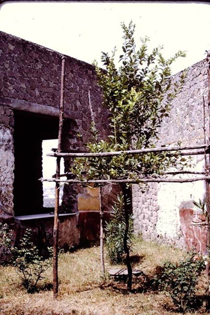 Villa San Marco, Stabiae, after 1968, (possibly 1976).  Looking west in garden, towards window into room 21. Photo by Stanley A. Jashemski.
Source: The Wilhelmina and Stanley A. Jashemski archive in the University of Maryland Library, Special Collections (See collection page) and made available under the Creative Commons Attribution-Non Commercial License v.4. See Licence and use details. Jmit0135