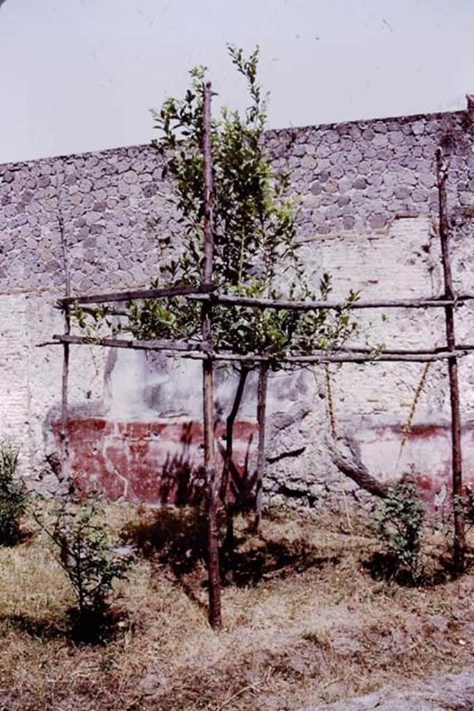 Villa San Marco, Stabiae, after 1968, (possibly 1976). Room 19, looking towards north wall of garden area. Photo by Stanley A. Jashemski. 
Source: The Wilhelmina and Stanley A. Jashemski archive in the University of Maryland Library, Special Collections (See collection page) and made available under the Creative Commons Attribution-Non Commercial License v.4. See Licence and use details. Jmit0137