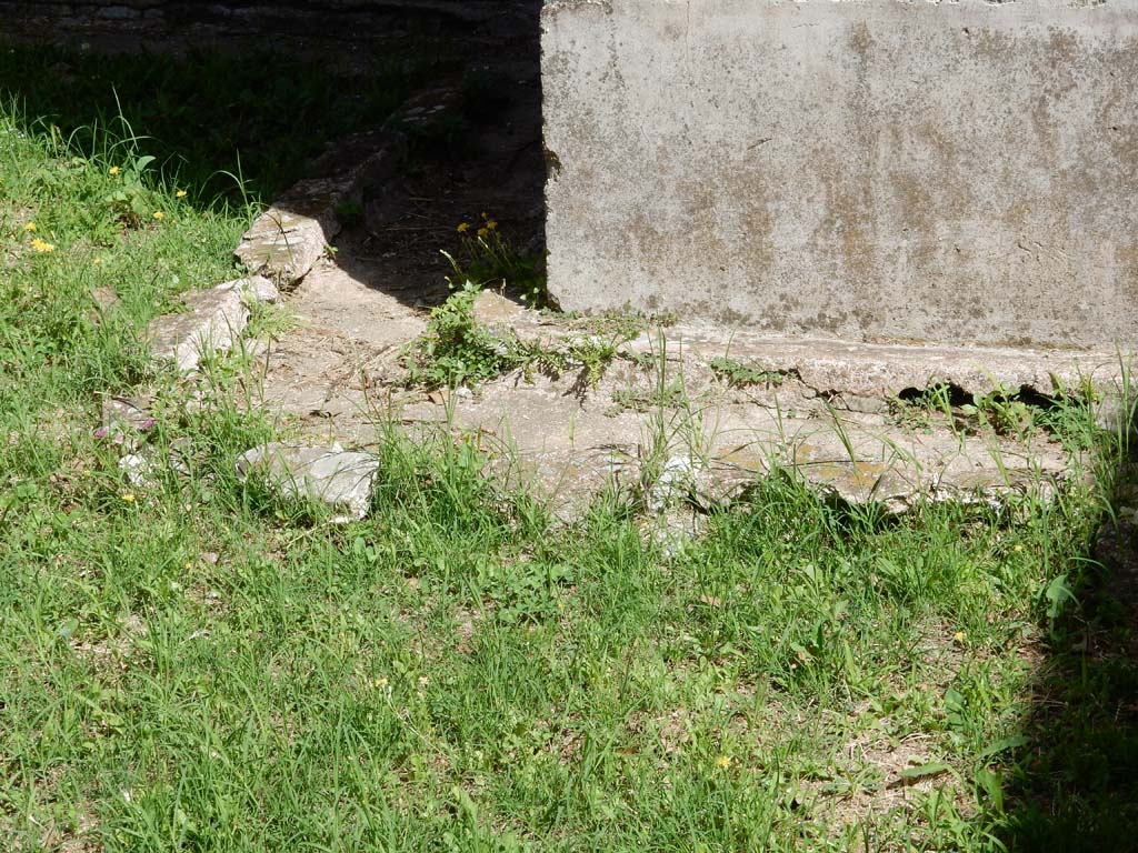 Villa San Marco, Stabiae, June 2019. Room 19, gutter under north wall. Photo courtesy of Buzz Ferebee