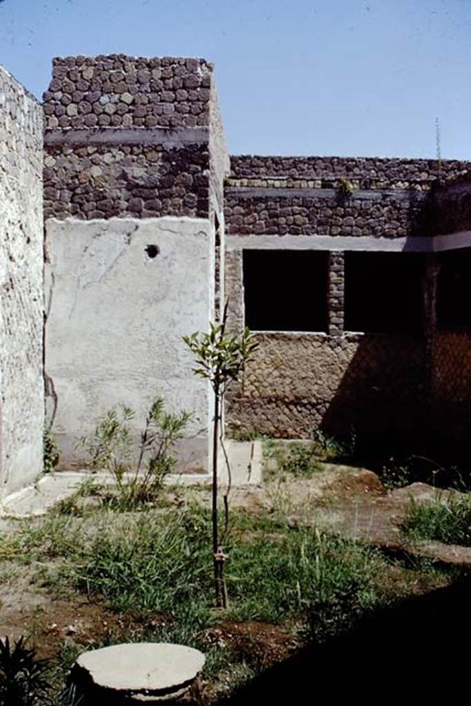 Villa San Marco, Stabiae, 1968. Room 19, cast of large tree root and newly planted tree in the garden. Photo by Stanley A. Jashemski.
Source: The Wilhelmina and Stanley A. Jashemski archive in the University of Maryland Library, Special Collections (See collection page) and made available under the Creative Commons Attribution-Non Commercial License v.4. See Licence and use details.
J68f1914