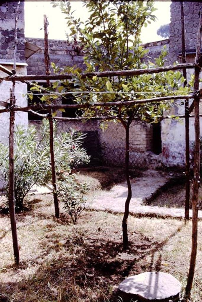 Villa San Marco, Stabiae, after 1968 (possibly 1976). Room 19, looking south-east across garden area. Photo by Stanley A. Jashemski.
Source: The Wilhelmina and Stanley A. Jashemski archive in the University of Maryland Library, Special Collections (See collection page) and made available under the Creative Commons Attribution-Non Commercial License v.4. See Licence and use details. Jmit0136