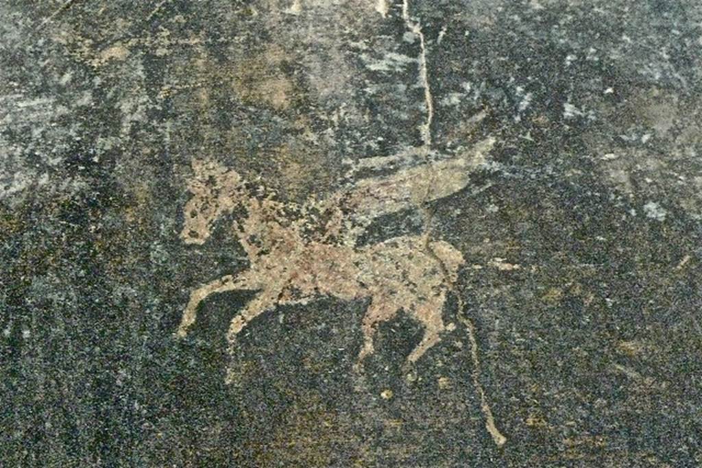 Castellammare di Stabia, Villa San Marco, July 2010. Room 23, detail of Pegasus from black painted east wall above. Photo courtesy of Michael Binns.