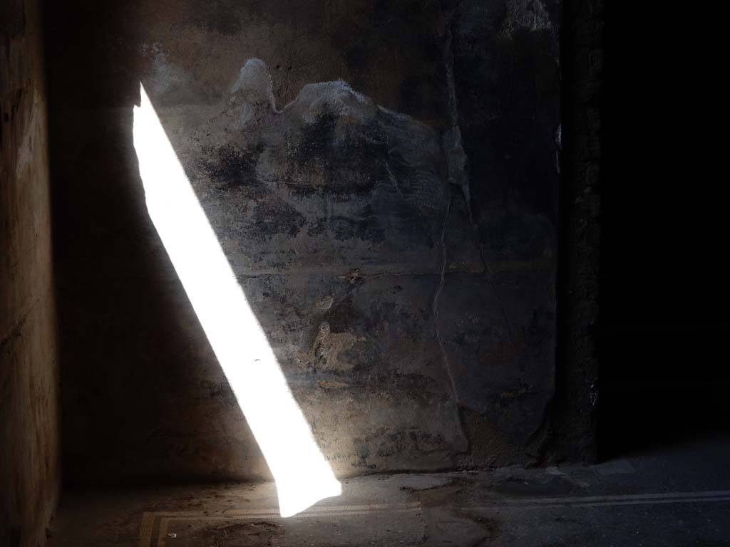 Villa San Marco, Stabiae, June 2019. Room 23, south-west corner, south end of west wall. 
Photo courtesy of Buzz Ferebee