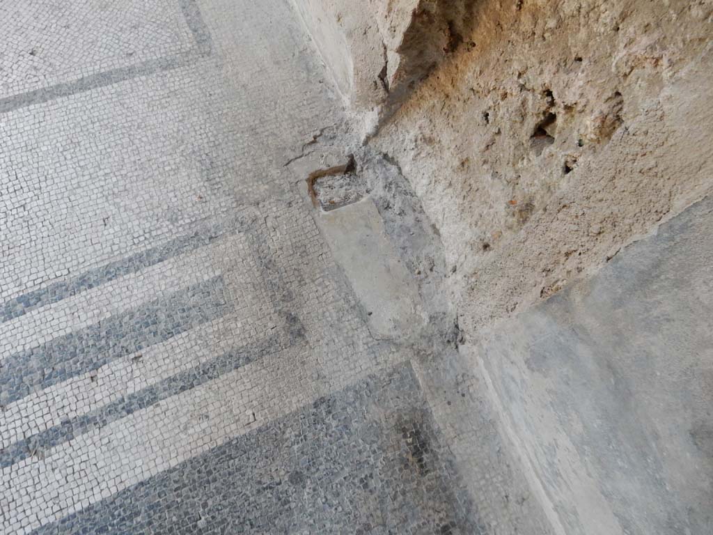 Villa San Marco, Stabiae, June 2019. Room 25, detail of mosaic doorway threshold.
Photo courtesy of Buzz Ferebee
