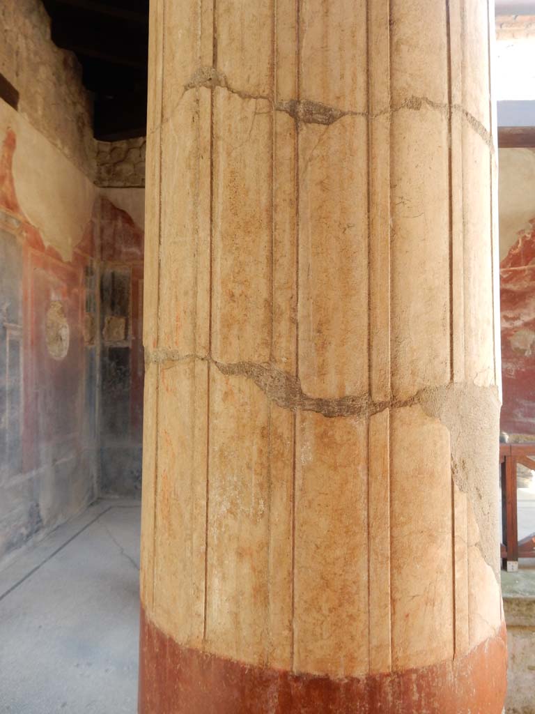 Villa San Marco, Stabiae, June 2019. Room 25, detail of columns. Photo courtesy of Buzz Ferebee