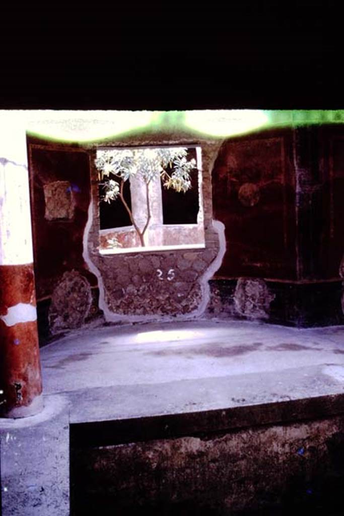 Villa San Marco, Stabiae, 1961. Room 25, looking south through large apsed window in baths area, towards small garden. Photo by Stanley A. Jashemski.
Source: The Wilhelmina and Stanley A. Jashemski archive in the University of Maryland Library, Special Collections (See collection page) and made available under the Creative Commons Attribution-Non Commercial License v.4. See Licence and use details. Jmit0140