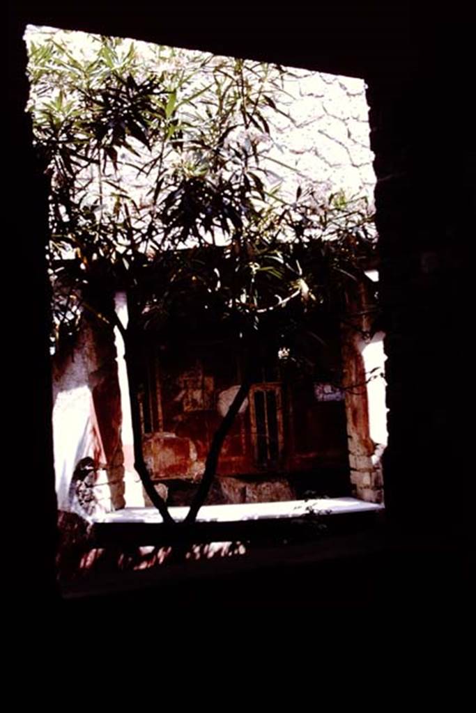 Villa San Marco, Stabiae, 1961. Looking north from small garden, room 28, through large apsed window into baths area, room 25. Photo by Stanley A. Jashemski.
Source: The Wilhelmina and Stanley A. Jashemski archive in the University of Maryland Library, Special Collections (See collection page) and made available under the Creative Commons Attribution-Non Commercial License v.4. See Licence and use details. Jmit0132