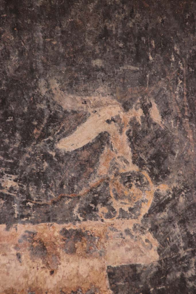 Villa San Marco, Stabiae, September 2015. Room 25, detail of painted decoration from west end of north wall. Photo courtesy of Klaus Heese.