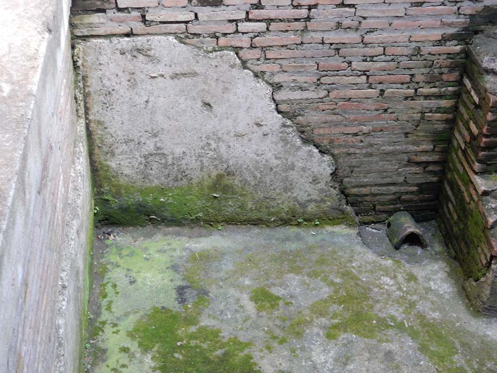 Villa San Marco, Stabiae, June 2019. Room 25, detail of remaining surface of impluvium/pool. 
Photo courtesy of Buzz Ferebee